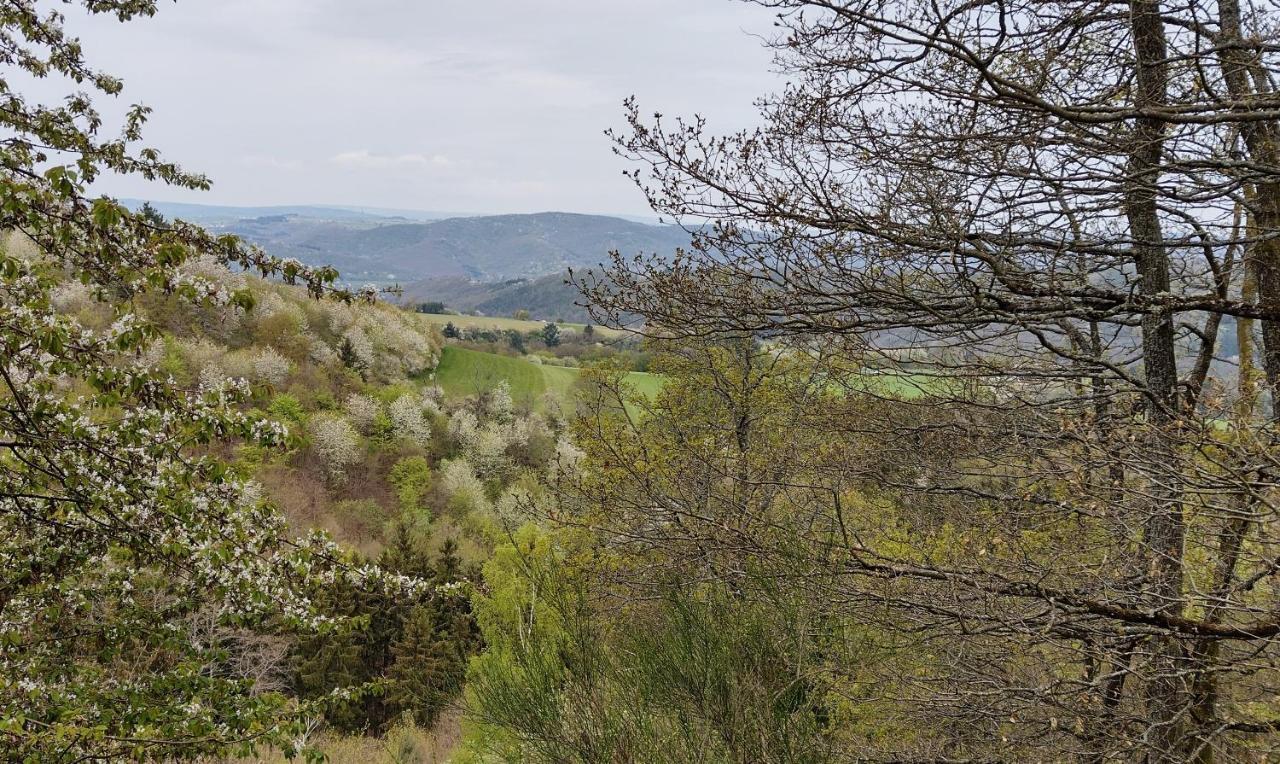 Ferienwohnungen Meindl Idar-Oberstein Εξωτερικό φωτογραφία